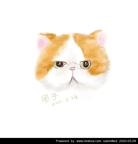 Բ鿴Ʒͼ
