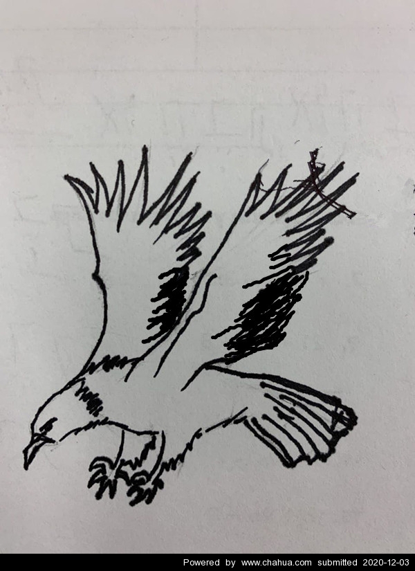Բ鿴Ʒͼ