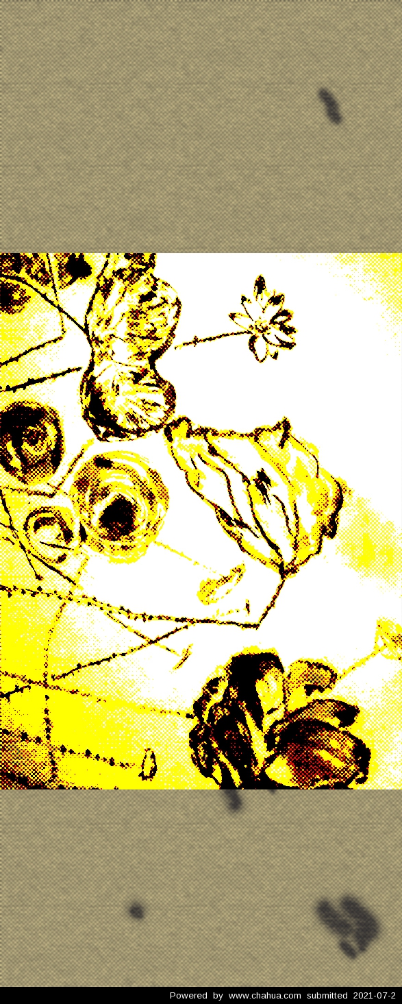 Բ鿴Ʒͼ
