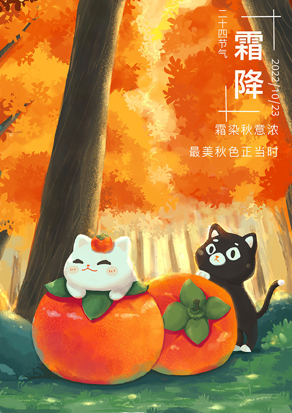 Բ鿴Ʒͼ
